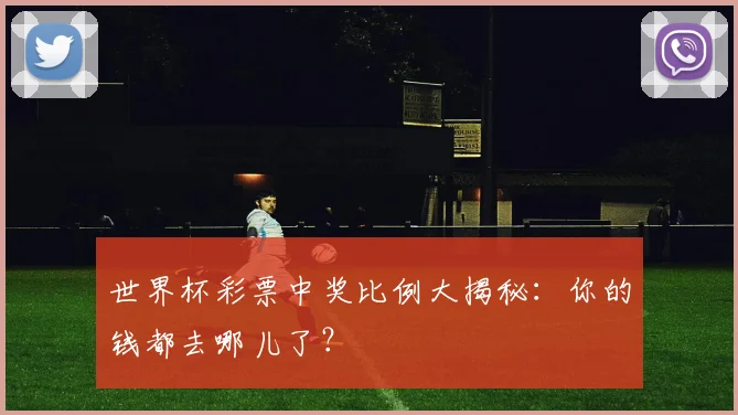 世界杯彩票中奖比例大揭秘：你的钱都去哪儿了？
