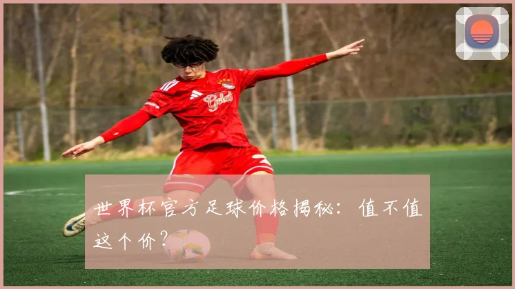 世界杯官方足球价格揭秘:值不值这个价?
