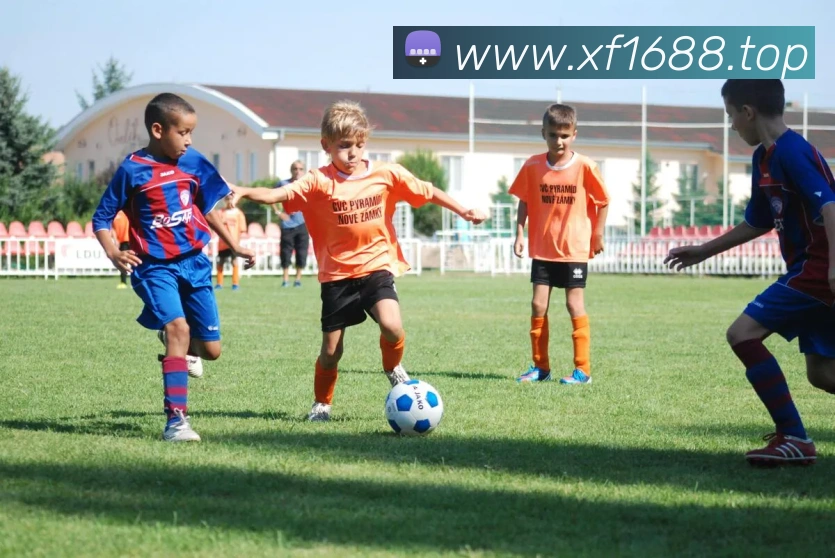 beat365在线唯一官网发展历程