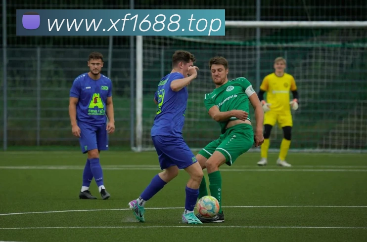 数据分析功能